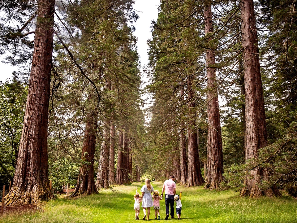 Benmore Botanic Gardens Argyll