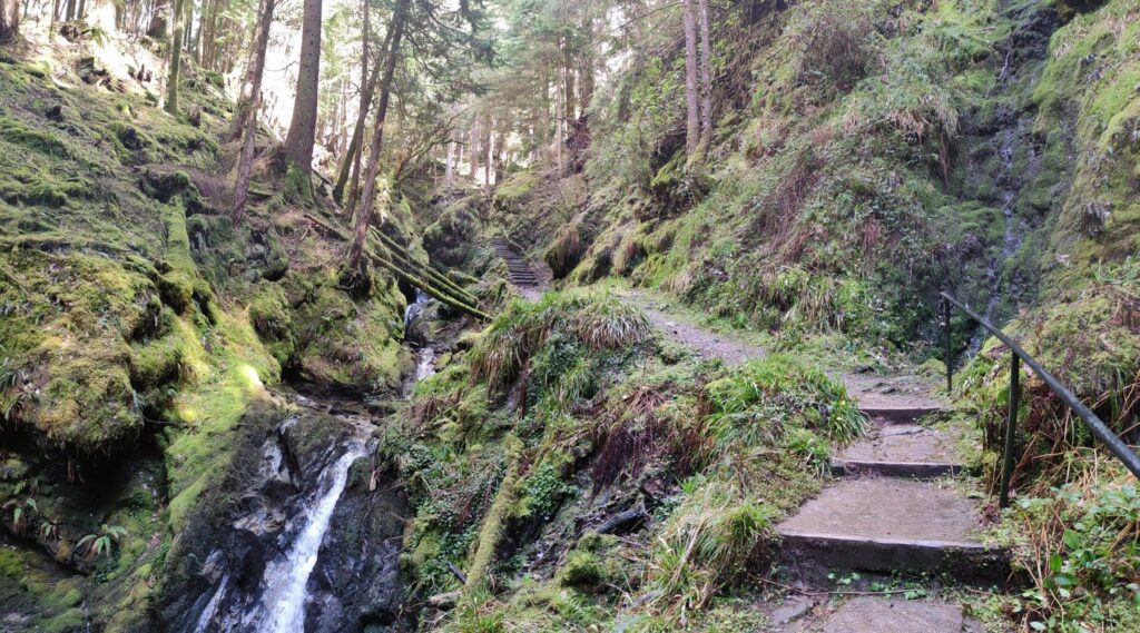 Pucks Glen Dunoon Argyll