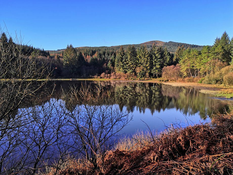 Bishops Glen Photo walks dunoon