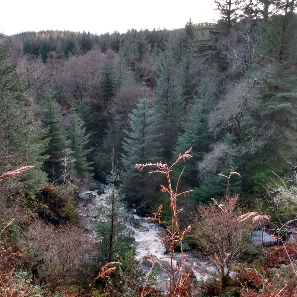 Dunoon Photo walks Morag's fairy Glen